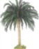 Kunstpflanzen Palmen